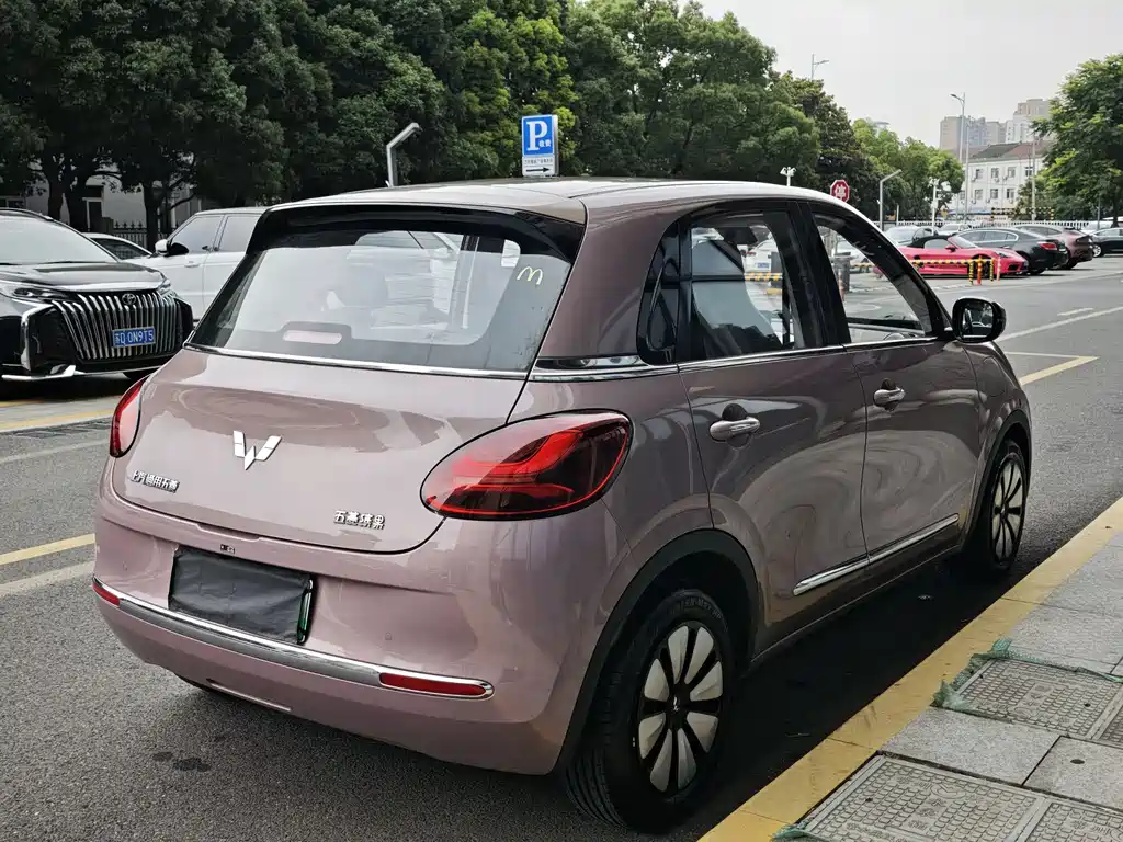 Wuling BenGuo 2023 203km Shuxiang Edition