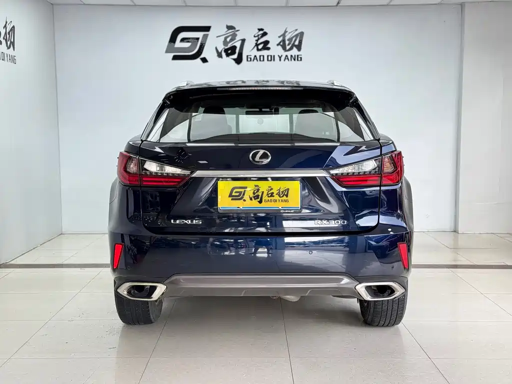 Lexus RX 2016 300 Two-wheel-drive Comfort Edition National V