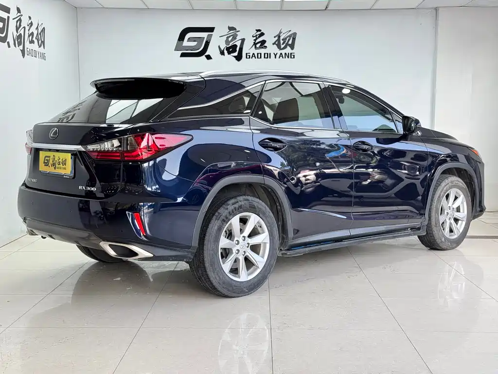 Lexus RX 2016 300 Two-wheel-drive Comfort Edition National V