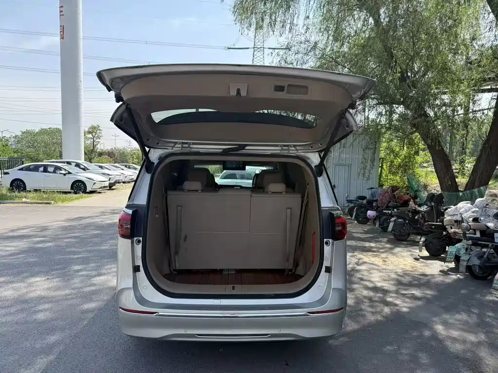 Buick GL8 2020 ES Luxury 653T