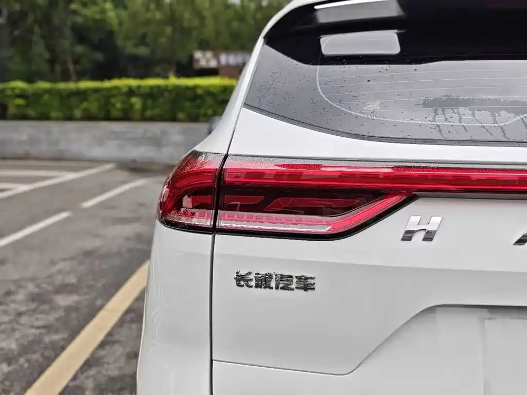 Haval H6 2021 2021 China Trend Edition 1.5T Automatic Champion Edition