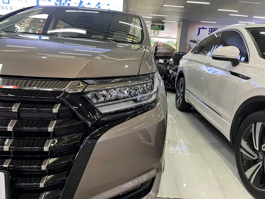Elicheer 2022 2.0L e:HEV Luxury Edition