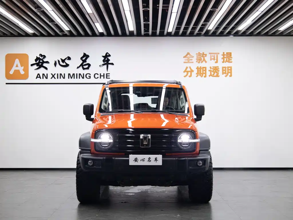 TANK 300 2025 Edition 2.4T Diesel