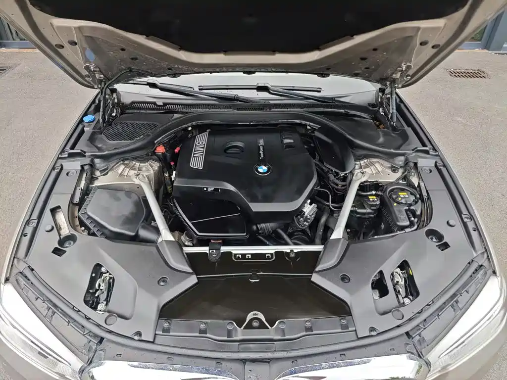 BMW 5 Series 2020 530Li Leading Edition Luxury Package