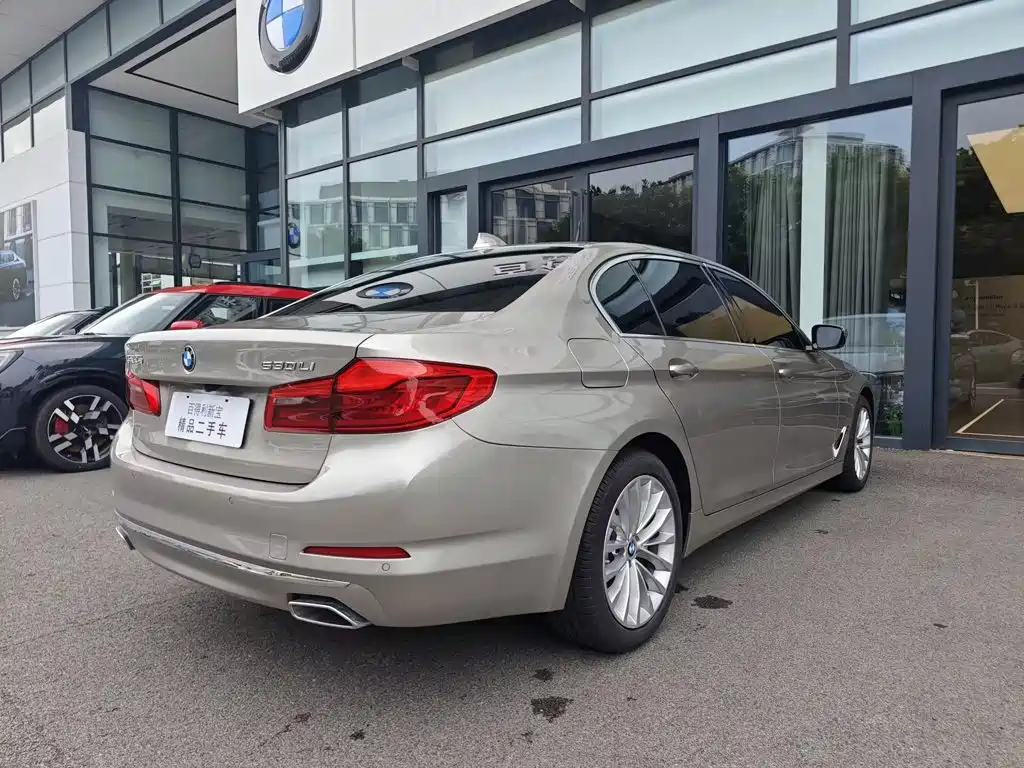 BMW 5 Series 2020 530Li Leading Edition Luxury Package