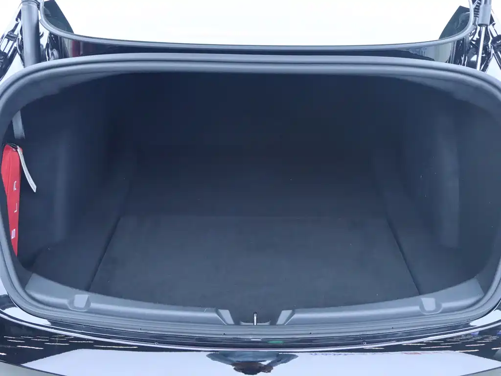 Model 3 Rear-Wheel Drive 2022