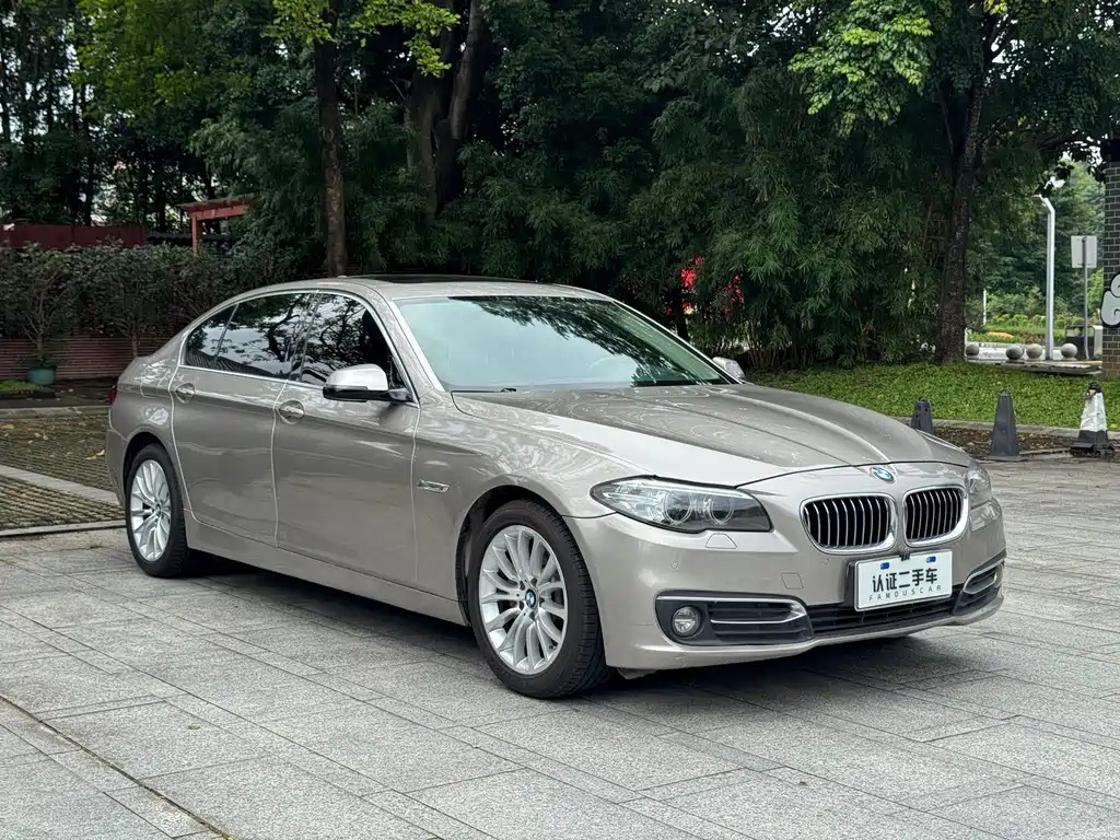BMW 5 Series 2014 525Li Luxury Design Package