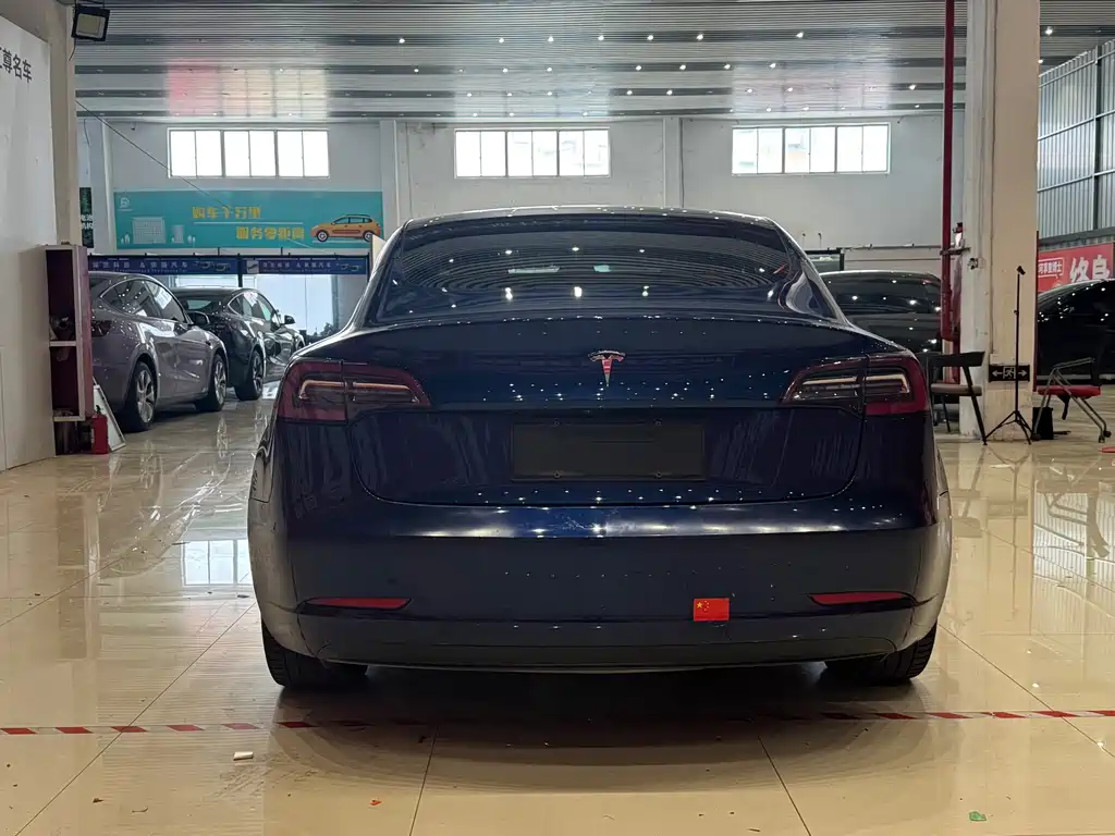 Model 3 Long Range Rear-Wheel Drive 2019 Import Edition