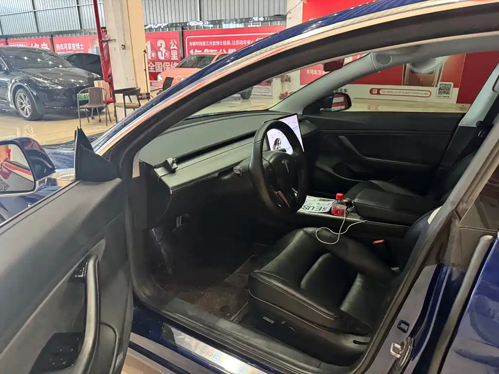 Model 3 Long Range Rear-Wheel Drive 2019 Import Edition