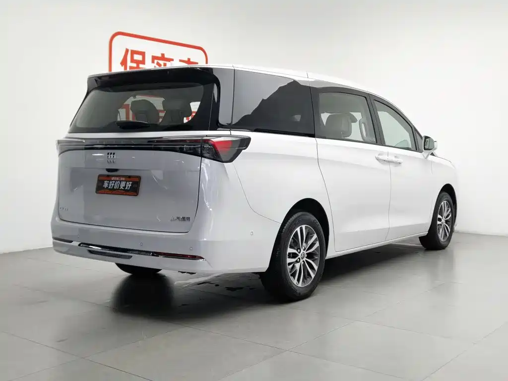 Buick GL8 2025 Limited Edition Executive Coach DG-YZ Version