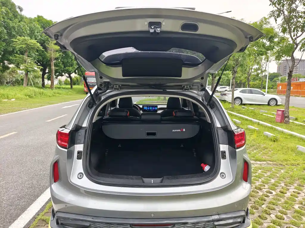Haval H5 2021款 激擎版 1.5T 黄金兔