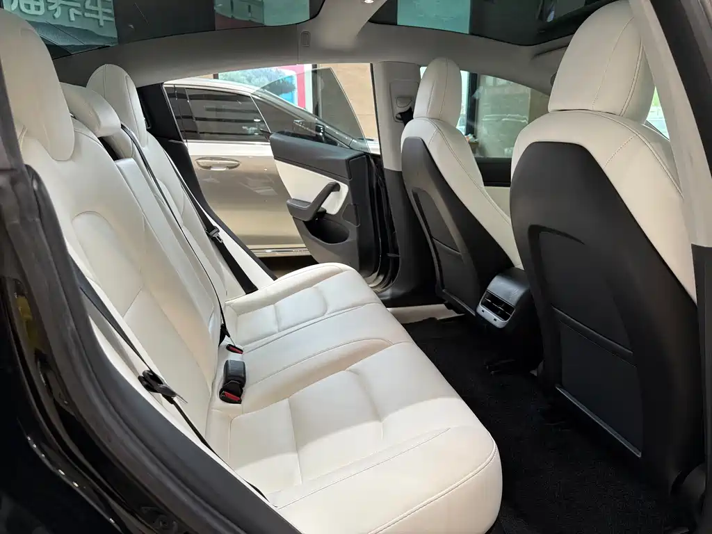 Model 3 Long Range All-Wheel Drive 2019 Import Edition