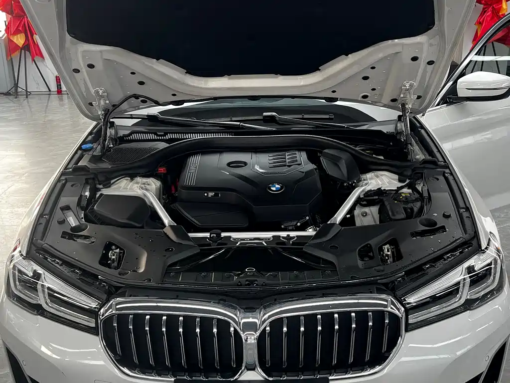 BMW 5 Series 2021 525Li Luxury Package