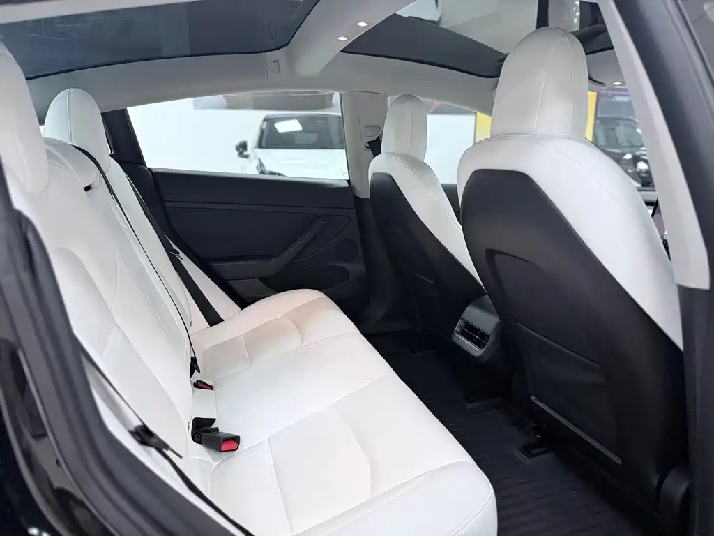 Model 3 Rear-Wheel Drive 2022