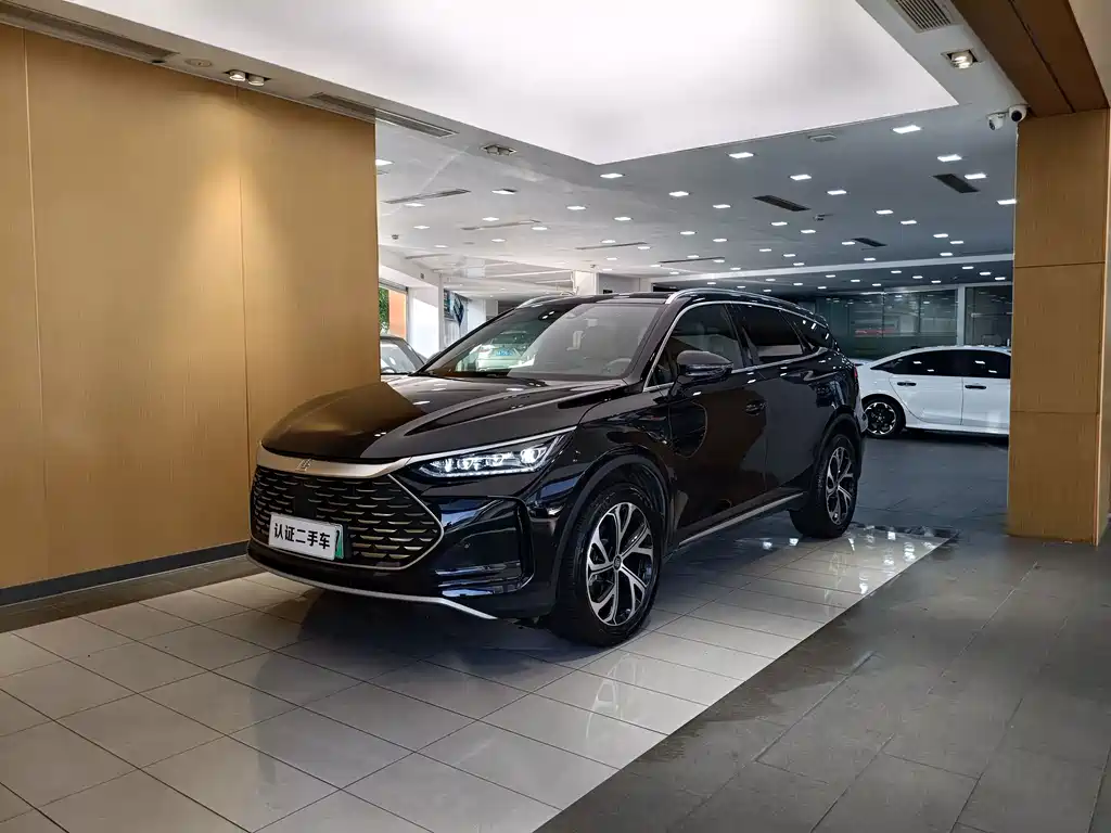 Tang New Energy 2025 Model Intelligent Driving Edition DM-i 115KM Flagship Type