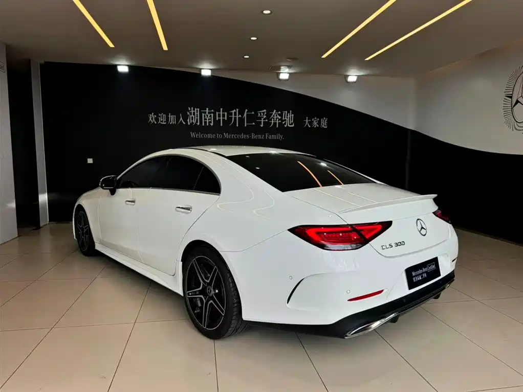 Mercedes-CLS 2021 CLS 300 Luxury Edition