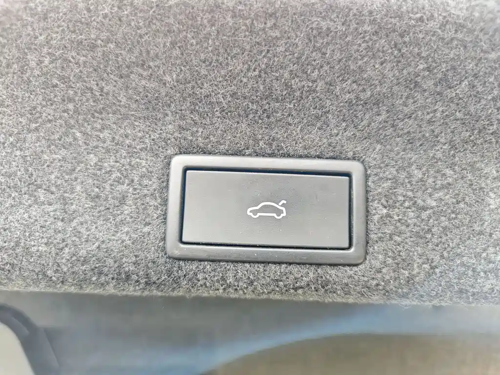 Magotan 2020 330TSI DSG Luxury Edition