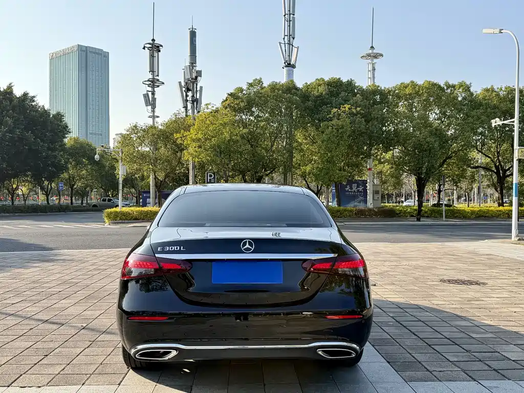 Mercedes-Benz E-Class 2023 E 300 L Luxury Edition