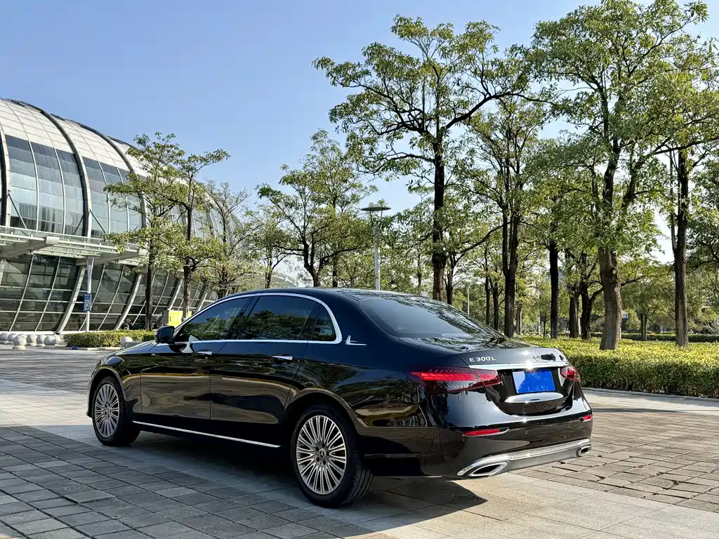 Mercedes-Benz E-Class 2023 E 300 L Luxury Edition