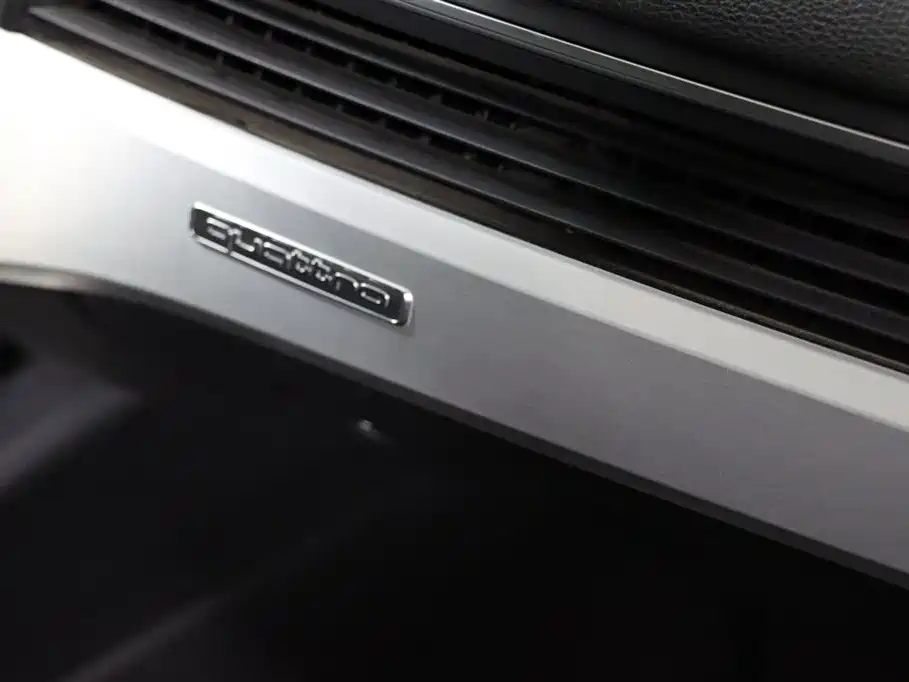 Audi A4L 2020 40 TFSI quattro Luxury Dynamic Edition