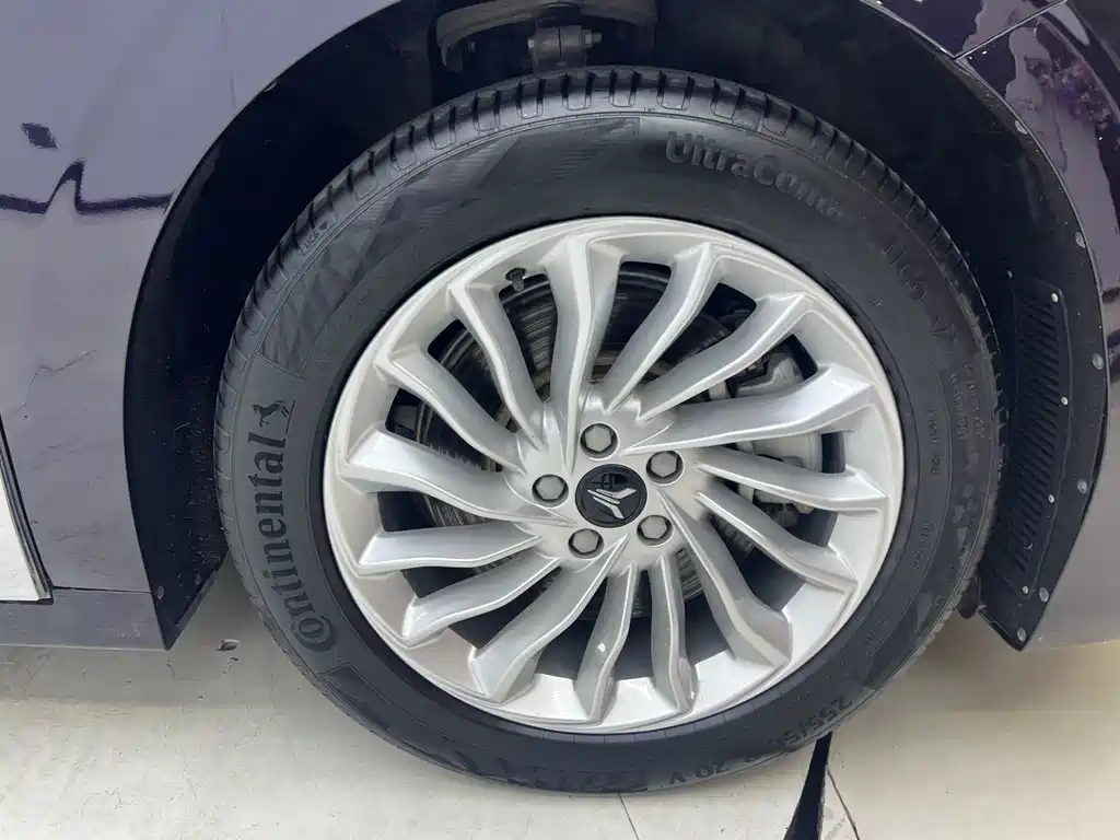 Dream Home 2024 Model PHEV Super Long Range Prestige Edition