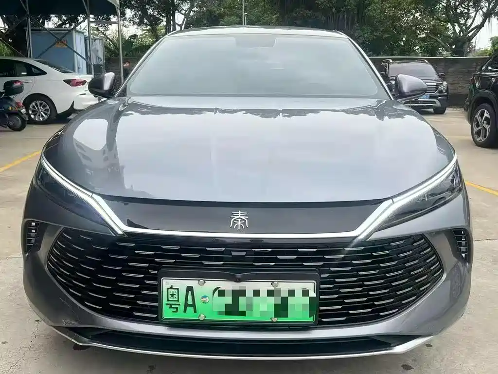 Qin L 2024 DM-i 80KM Leading Edition