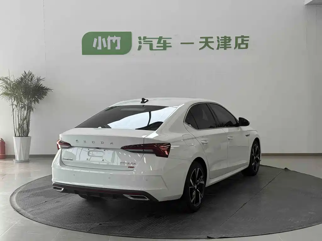 Volkswagen Magotan 2022 PRO TSI280 Luxury Edition