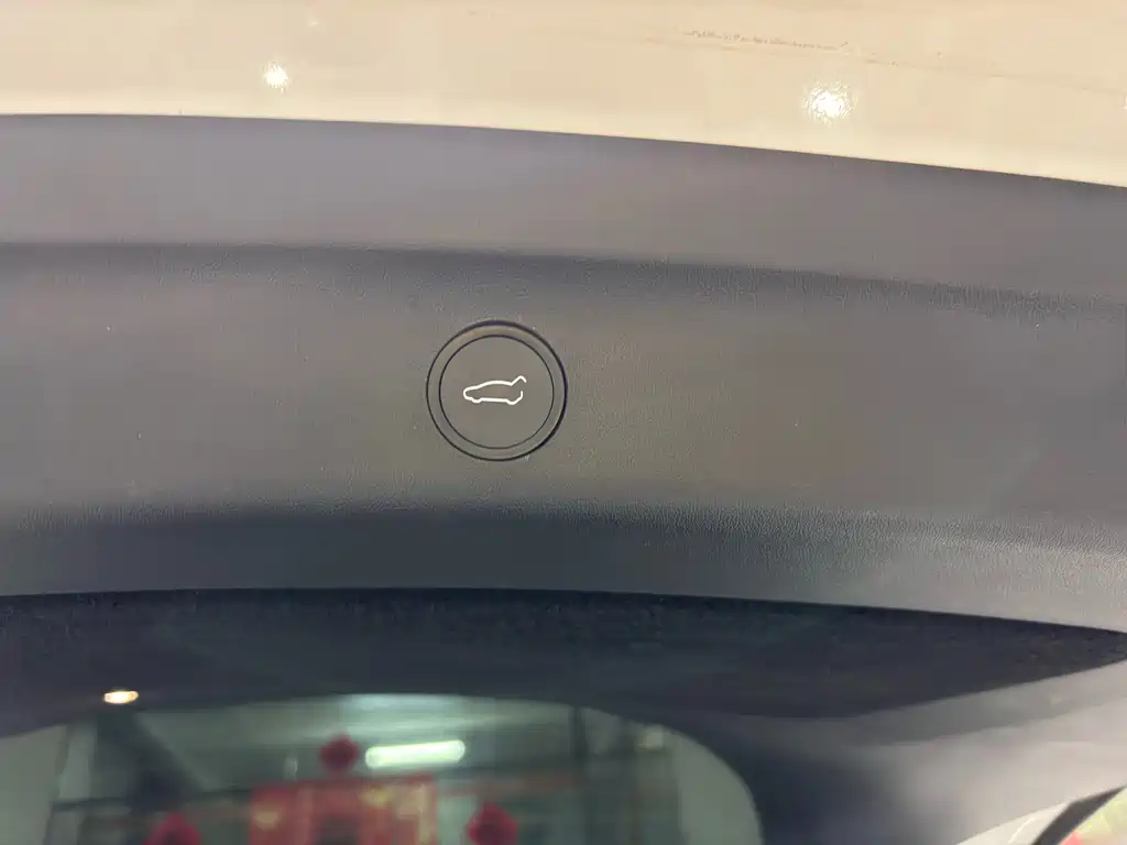 Model Y 2022 Rear-Wheel Drive Edition