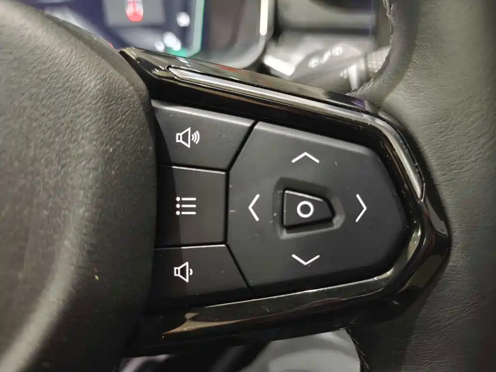 LEON 06 EM-P 2022 Model PHEV 84KM Range Pro