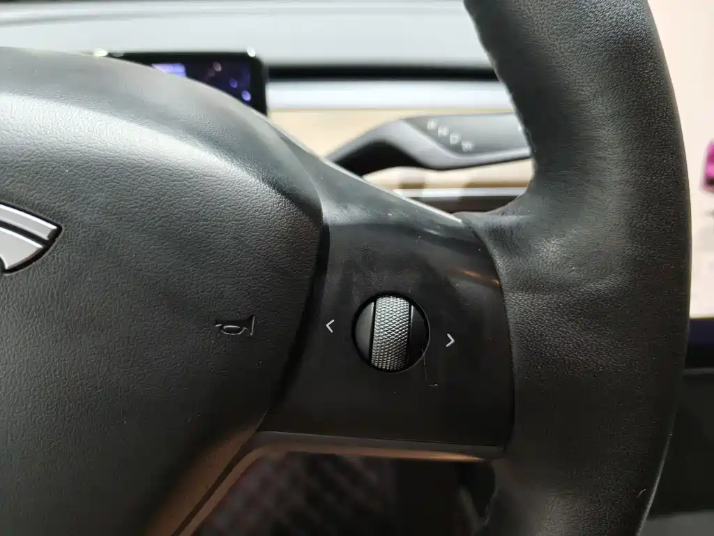 Model Y 2022 Rear-Wheel Drive Edition