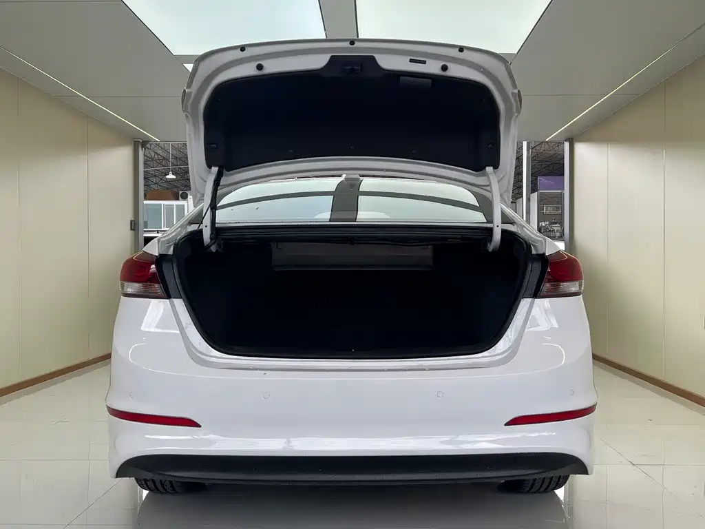 Leonding 2016 1.6L Automatic ZhiXuan·Luxury Edition
