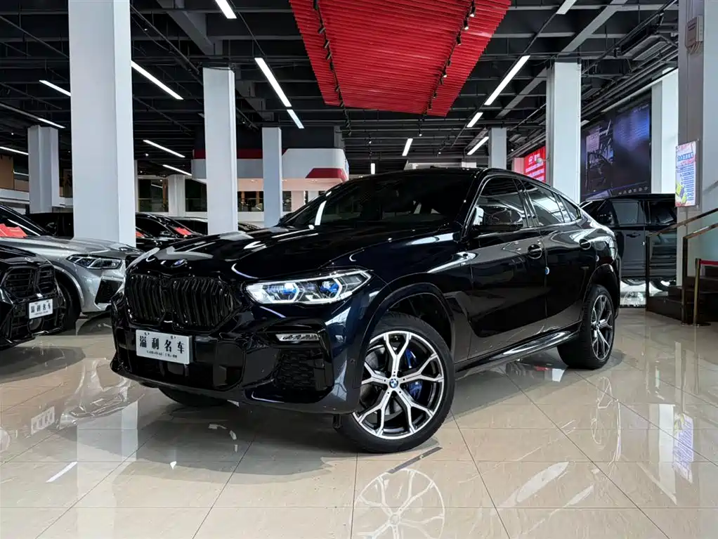 BMW X6 2021 xDrive40i Luxury Edition M Sport Package