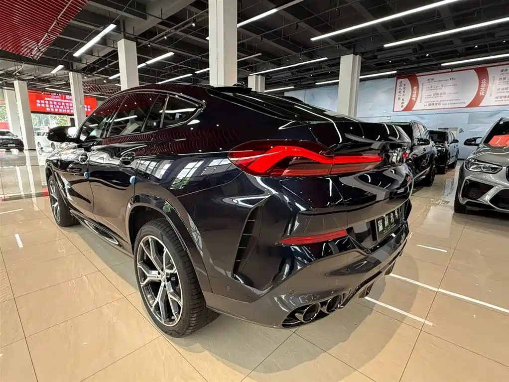 BMW X6 2021 xDrive40i Luxury Edition M Sport Package