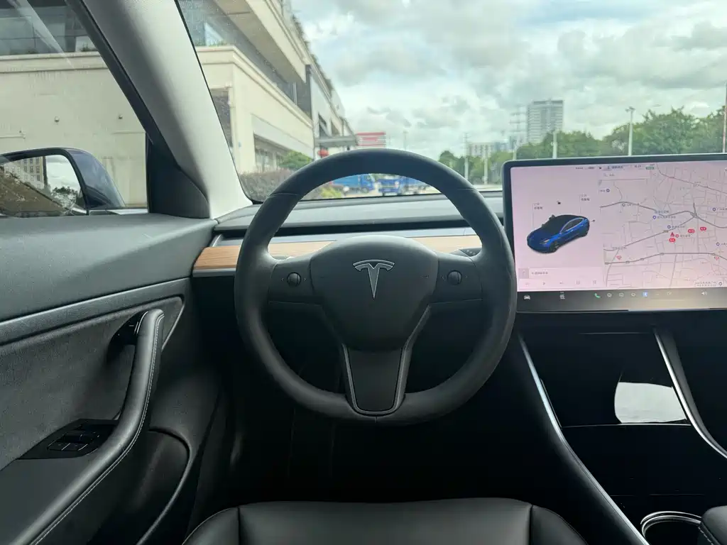 Model 3 Long Range Rear-Wheel Drive 2020款