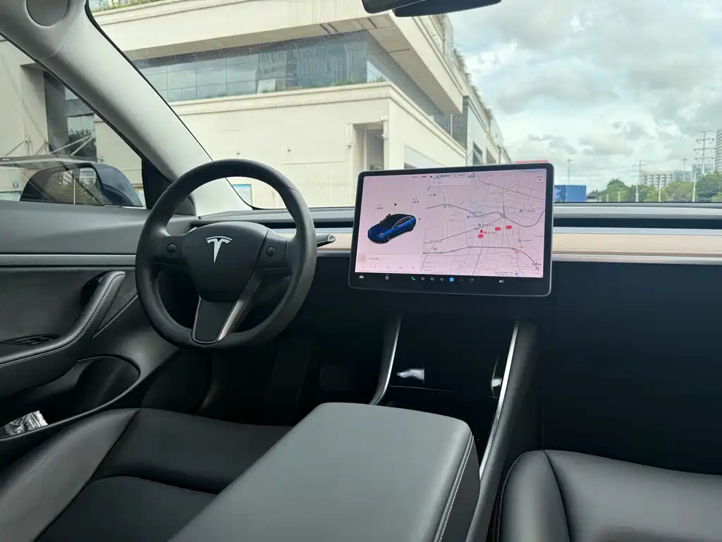 Model 3 Long Range Rear-Wheel Drive 2020款