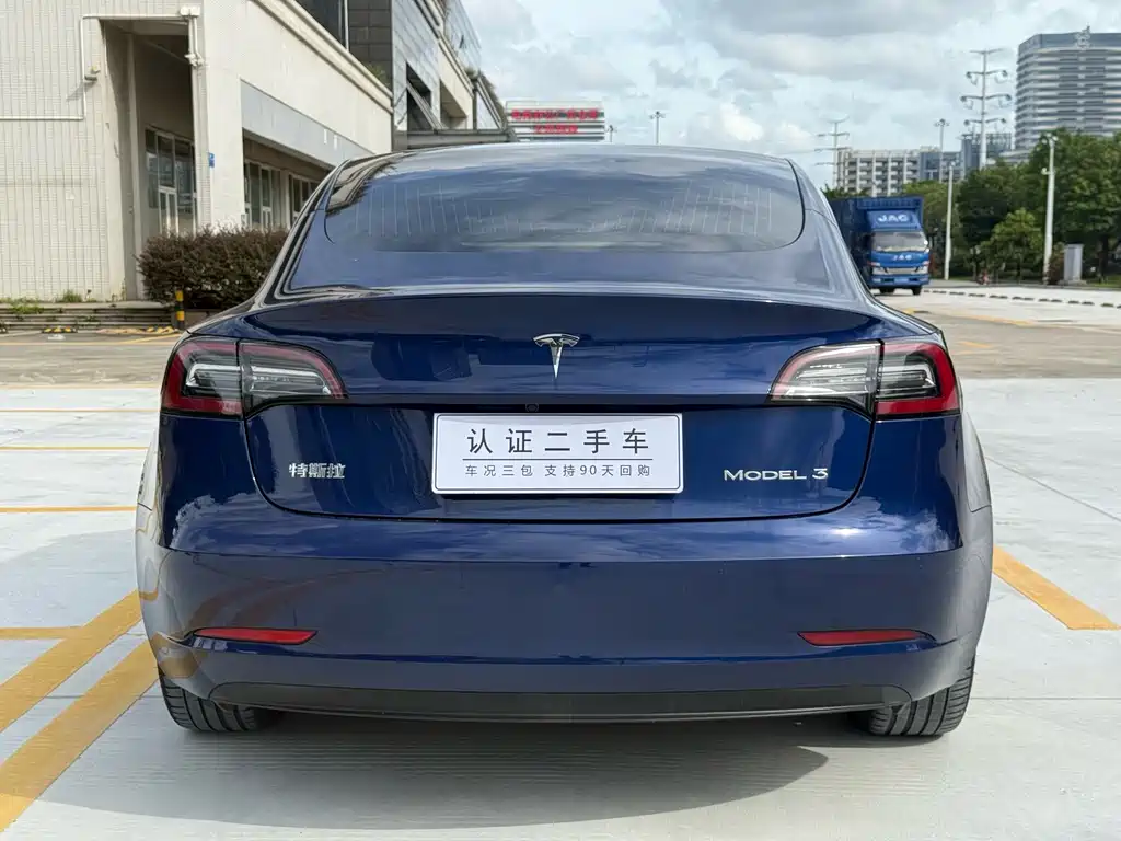 Model 3 Long Range Rear-Wheel Drive 2020款