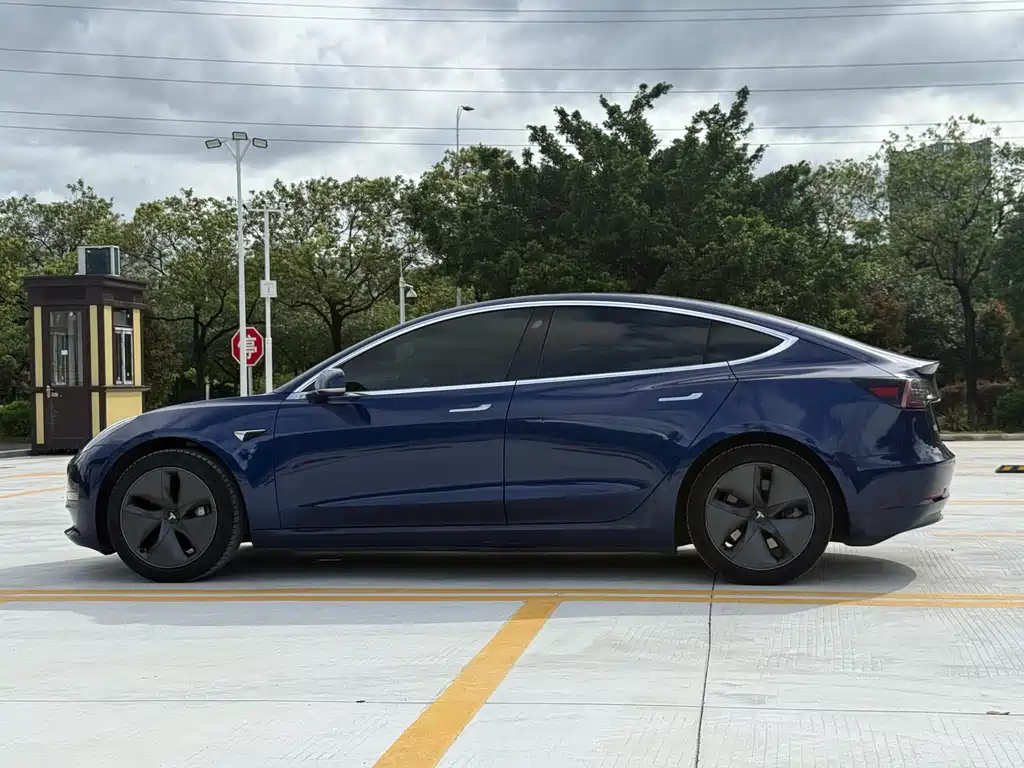 Model 3 Long Range Rear-Wheel Drive 2020款