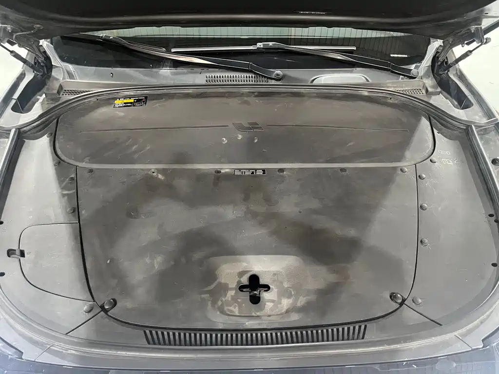 Lemon ONE 2021 Model, Extended Range 6-Seat Edition
