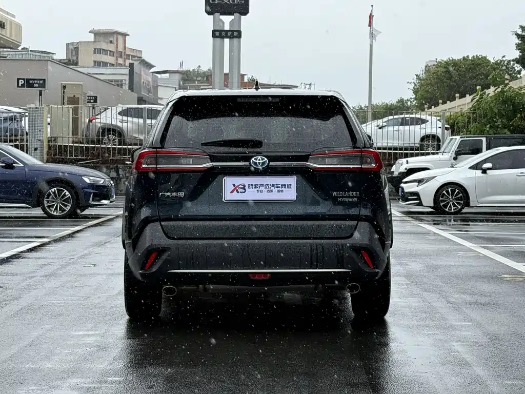 Velaranda 2020 Model Dual Motor 2.5L E-CVT Two-Wheel Drive Luxury Edition