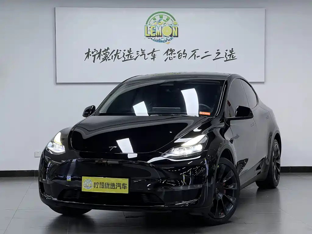 Model Y 2021 Standard Range Rear-Wheel Drive Edition