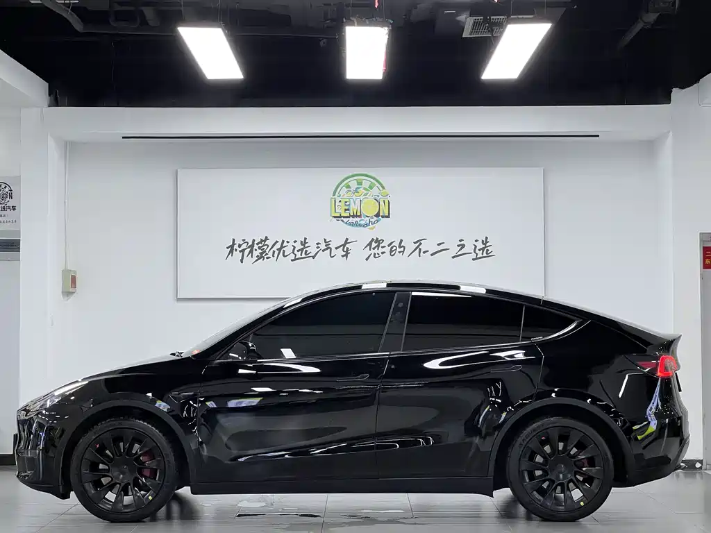 Model Y 2021 Standard Range Rear-Wheel Drive Edition