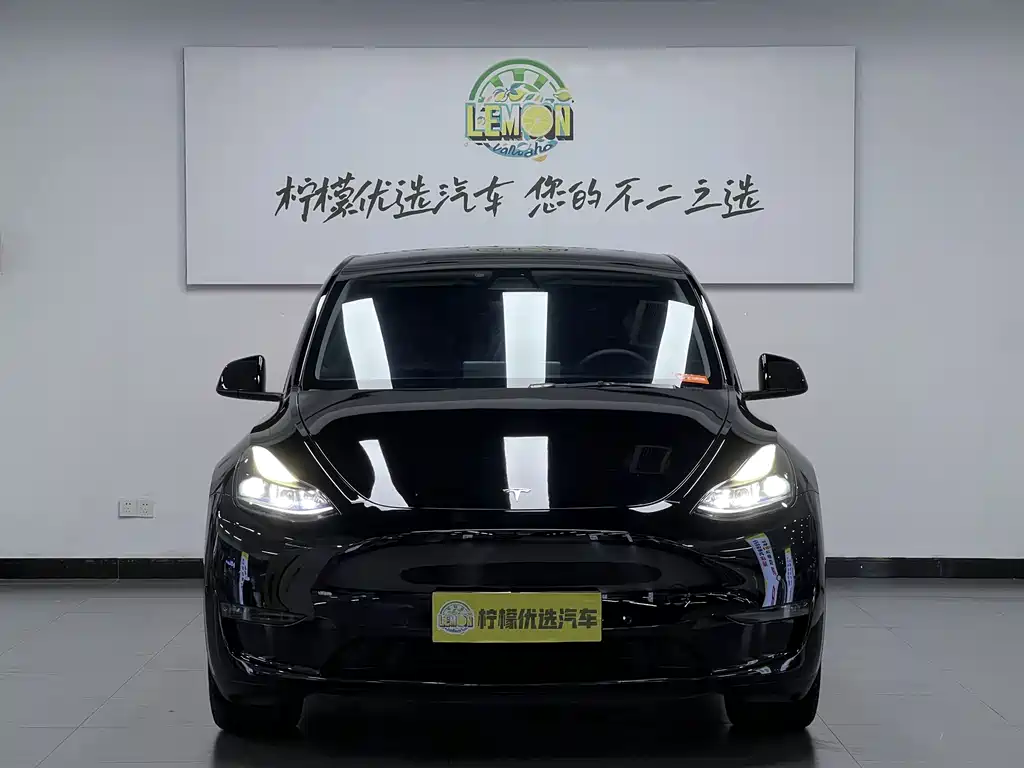 Model Y 2021 Standard Range Rear-Wheel Drive Edition