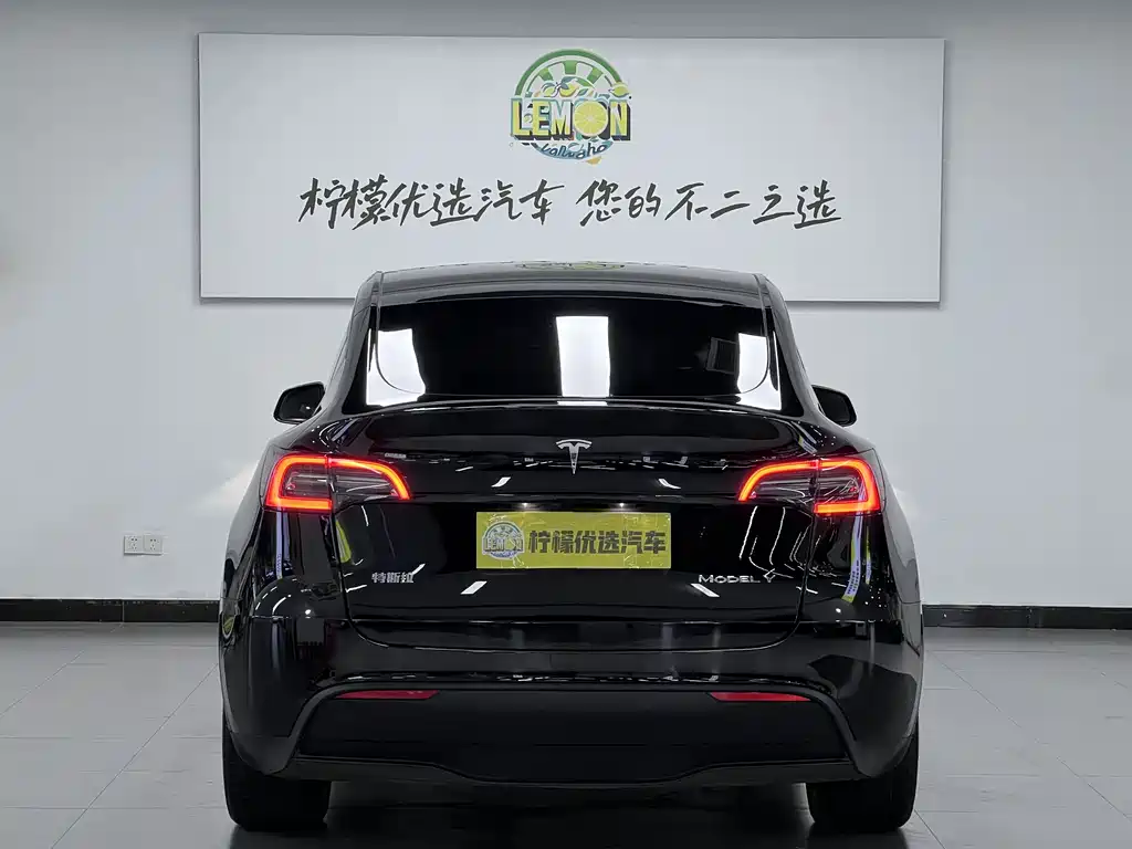 Model Y 2021 Standard Range Rear-Wheel Drive Edition
