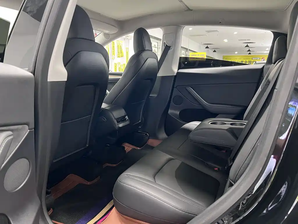 Model Y 2021 Standard Range Rear-Wheel Drive Edition