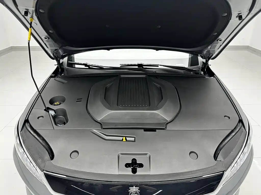 QinPLUS 2025 EV Intelligent Driving Edition 510KM Surpassing Version