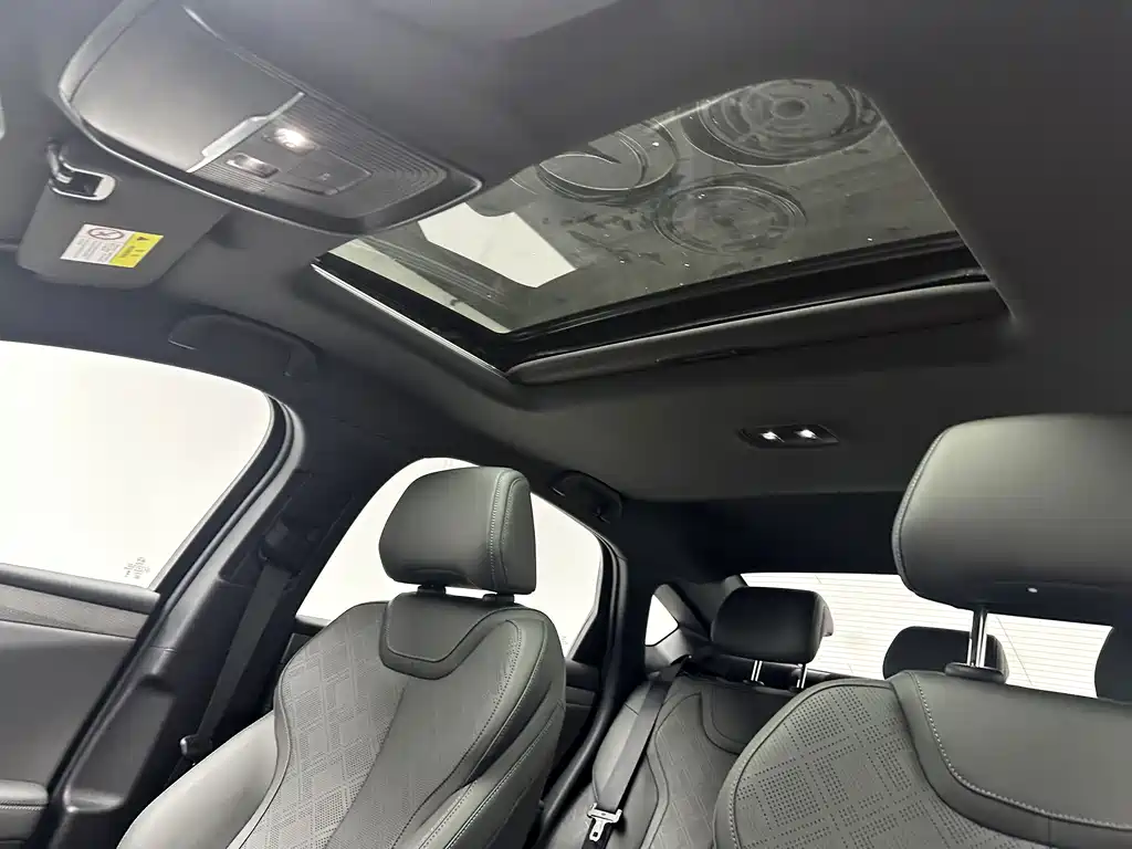 QinPLUS 2025 EV Intelligent Driving Edition 510KM Surpassing Version