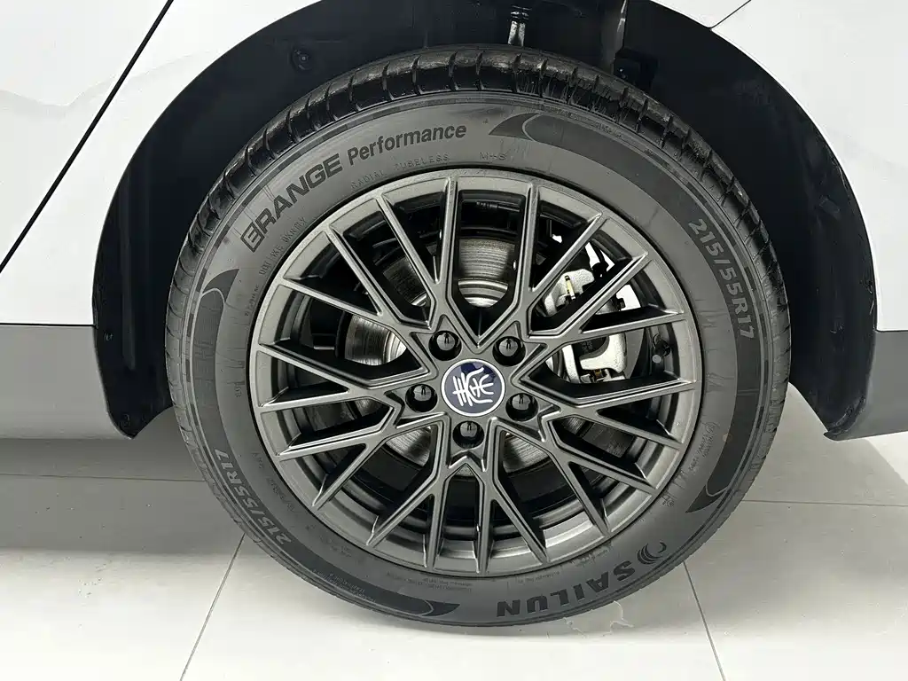 QinPLUS 2025 EV Intelligent Driving Edition 510KM Surpassing Version