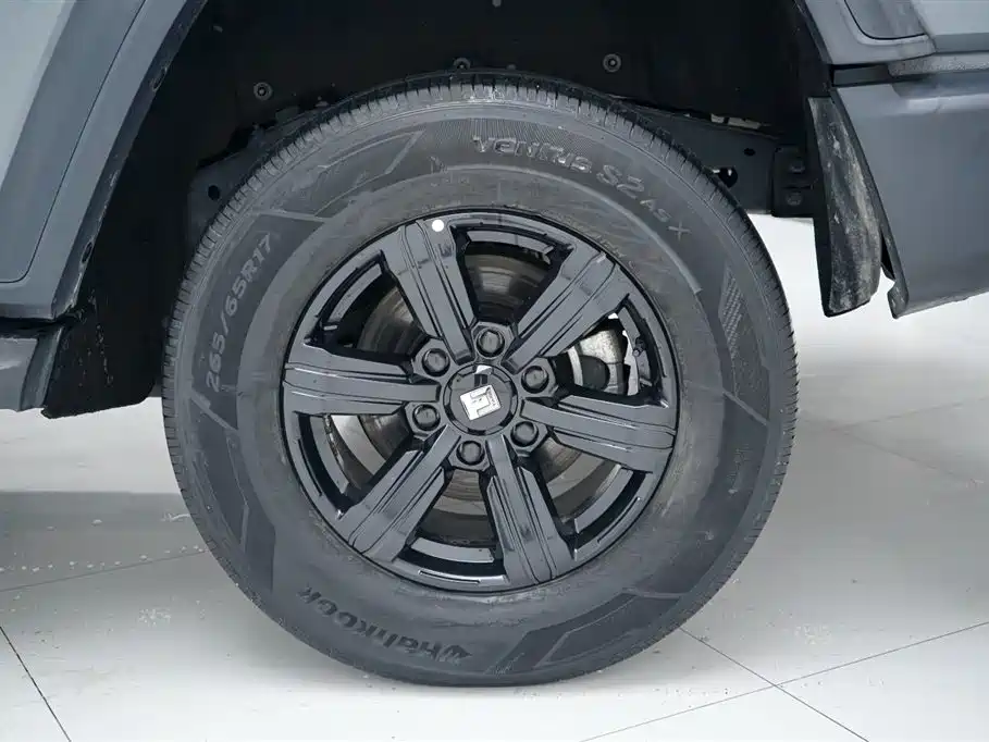 Tank 300 2021 Challenge Edition 2.0T