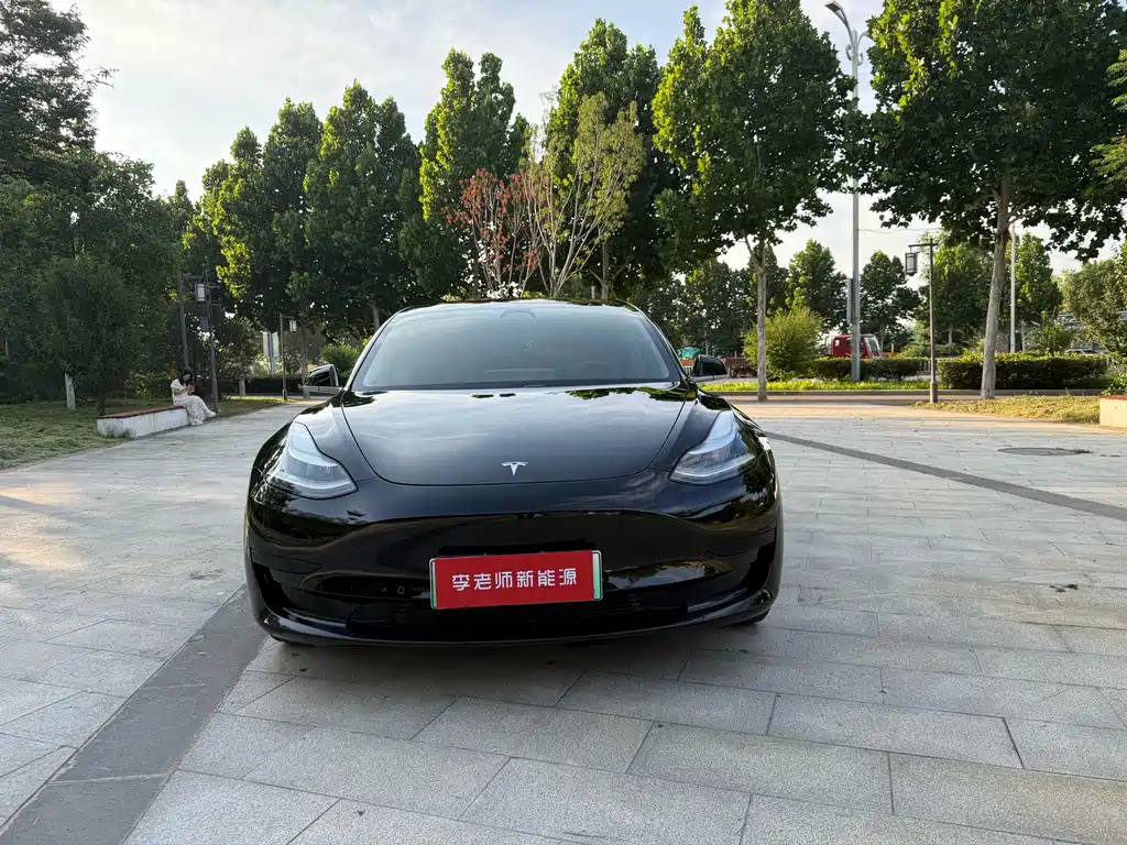 Model 3 Long Range Rear-Wheel Drive Upgrade 2020