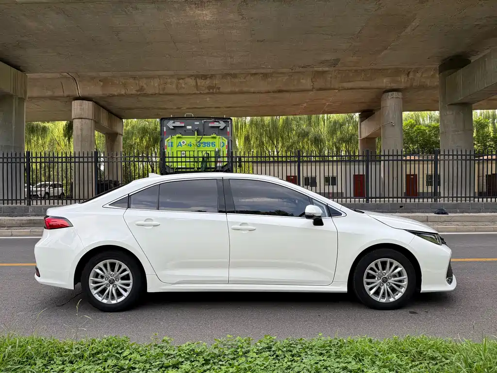 Asia Lion 2021 2.0L Luxury Edition
